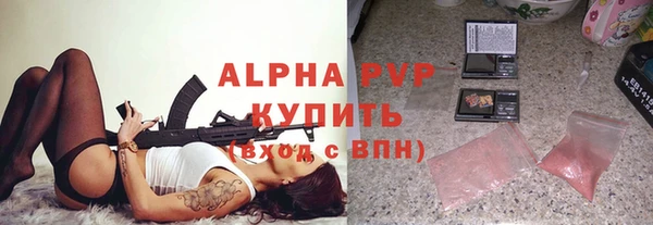 трава Няндома