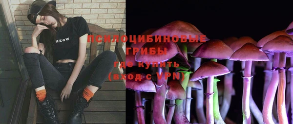 тгк Нязепетровск