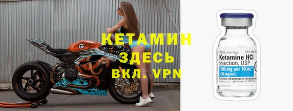 трава Няндома