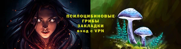 тгк Нязепетровск