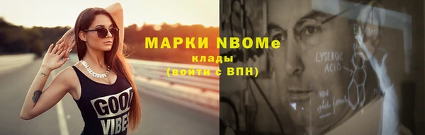 трава Няндома
