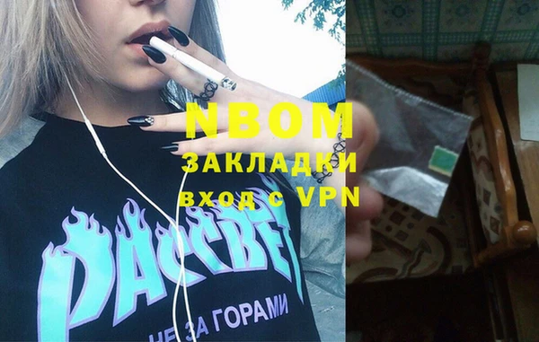 трава Няндома