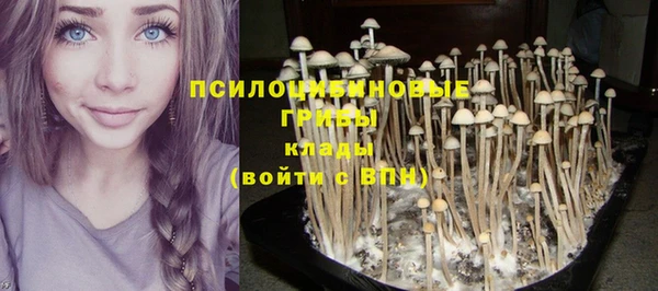 тгк Нязепетровск