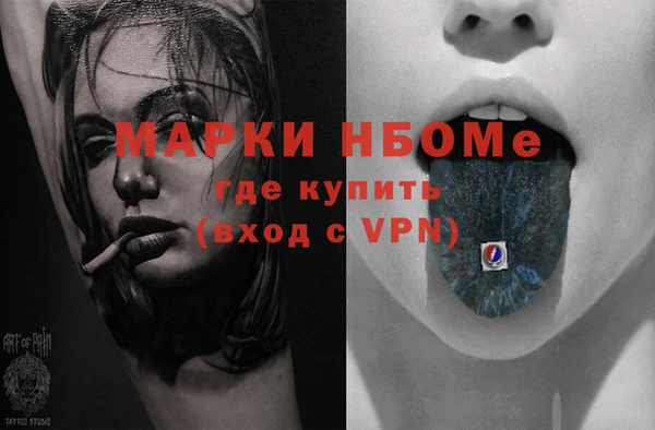 трава Няндома