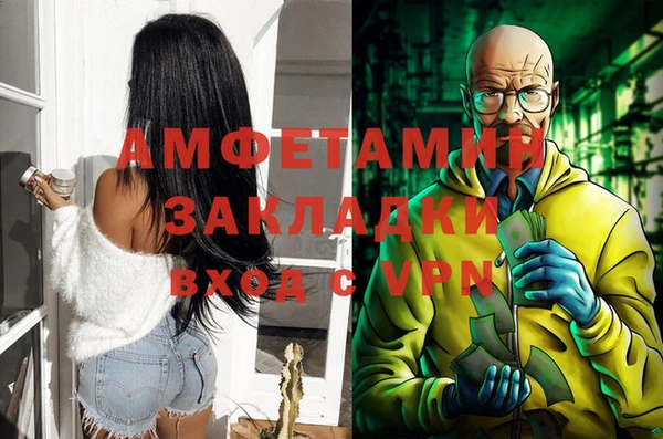 трава Няндома