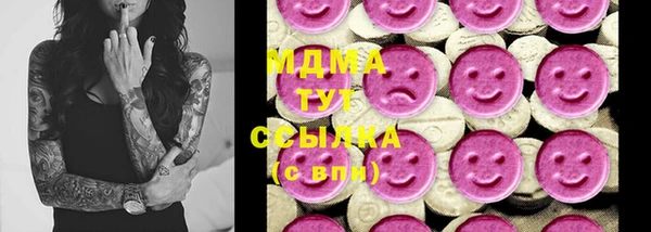 трава Няндома